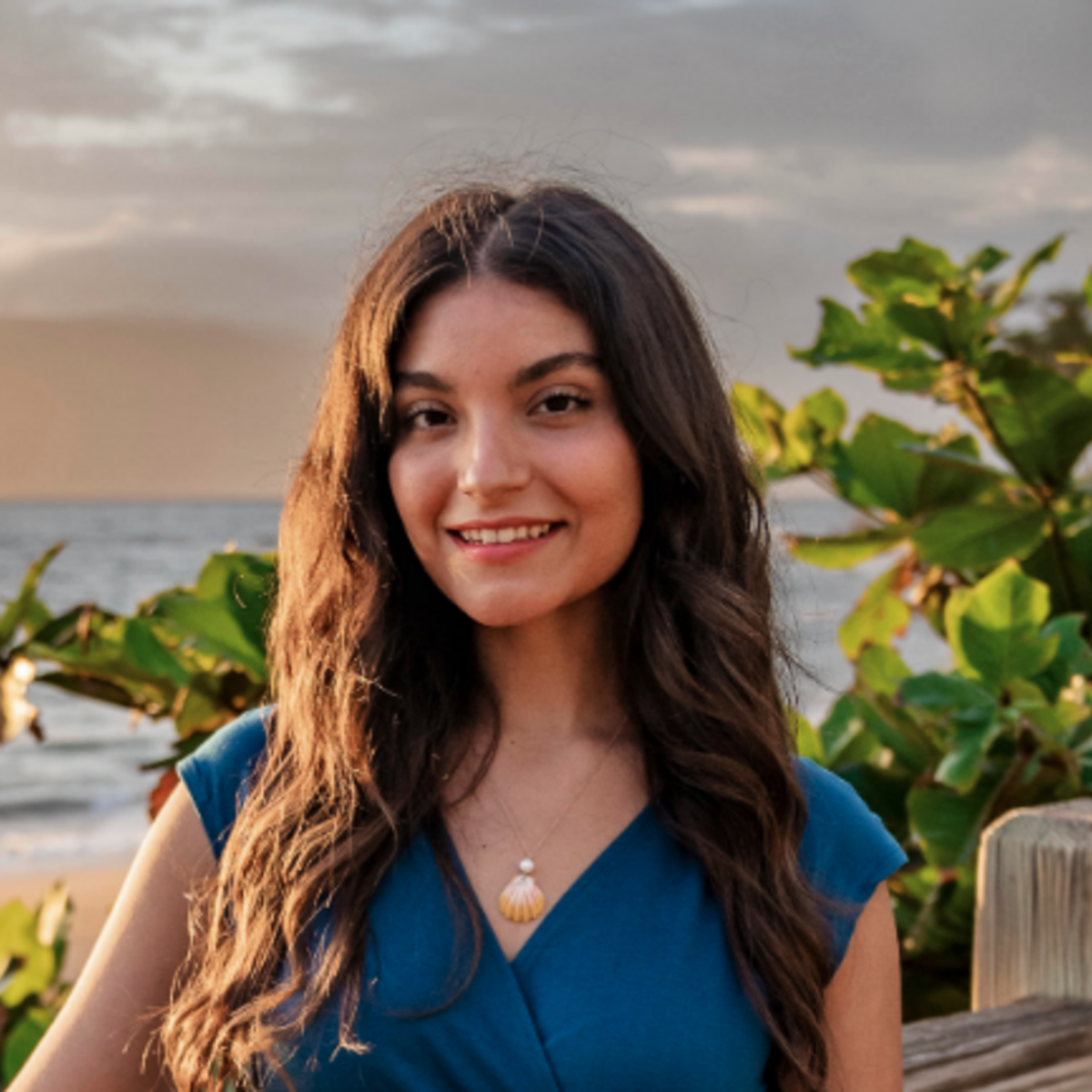 Screen shot 2022 09 06 at 5.21.30 pm