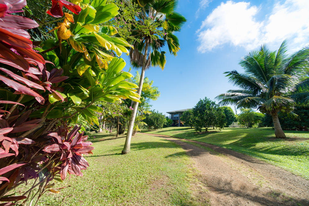 4911C WAILAPA RD C House for Sale in KILAUEA 601361 Tiffany