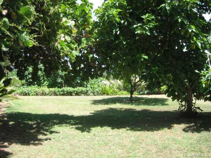 55-245-kamehameha-highway-house-for-sale-in-laie-2900507-cynthia