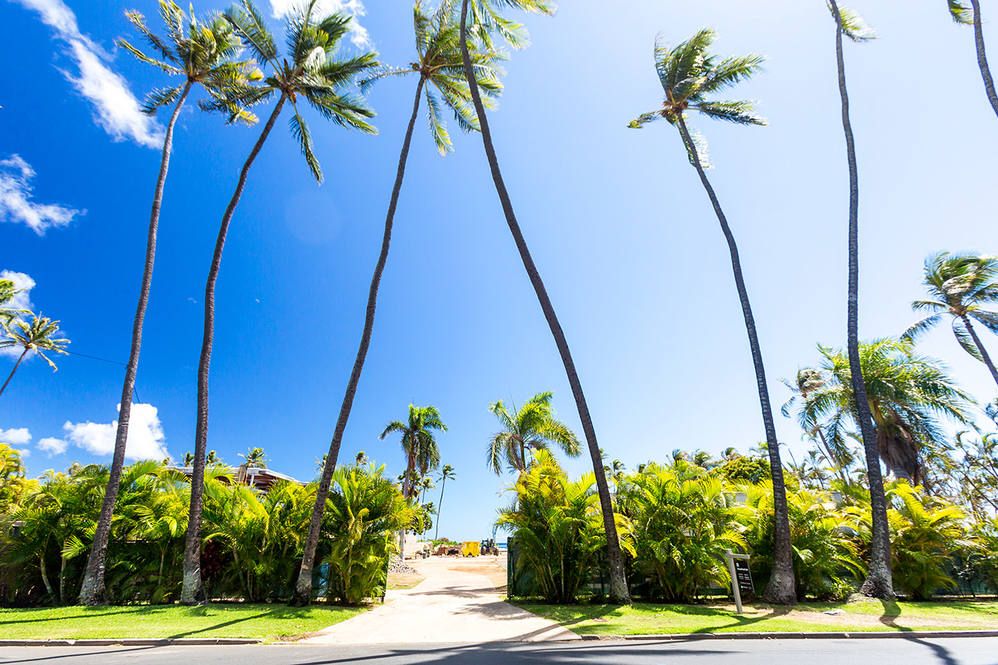 4439 kahala ground 9