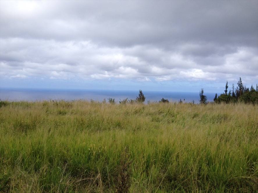 Paauhau St Land for Sale in Honokaa 615513 Kanoe L. LindseySoares Hawaii Life