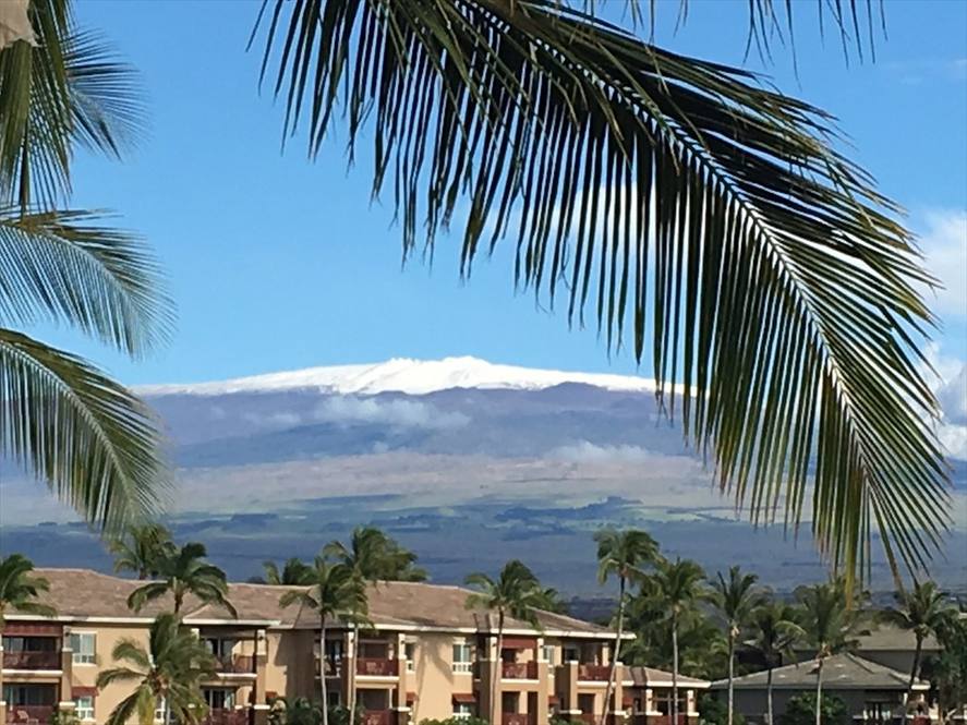 69450 WAIKOLOA BEACH DR 622 Condo for Sale in WAIKOLOA 617258