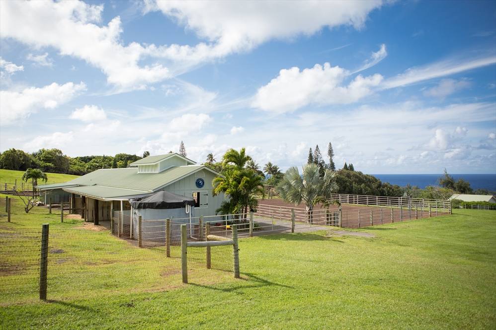 52262 NIULII PL House for Sale in Kapaau 618452 Beth Thoma