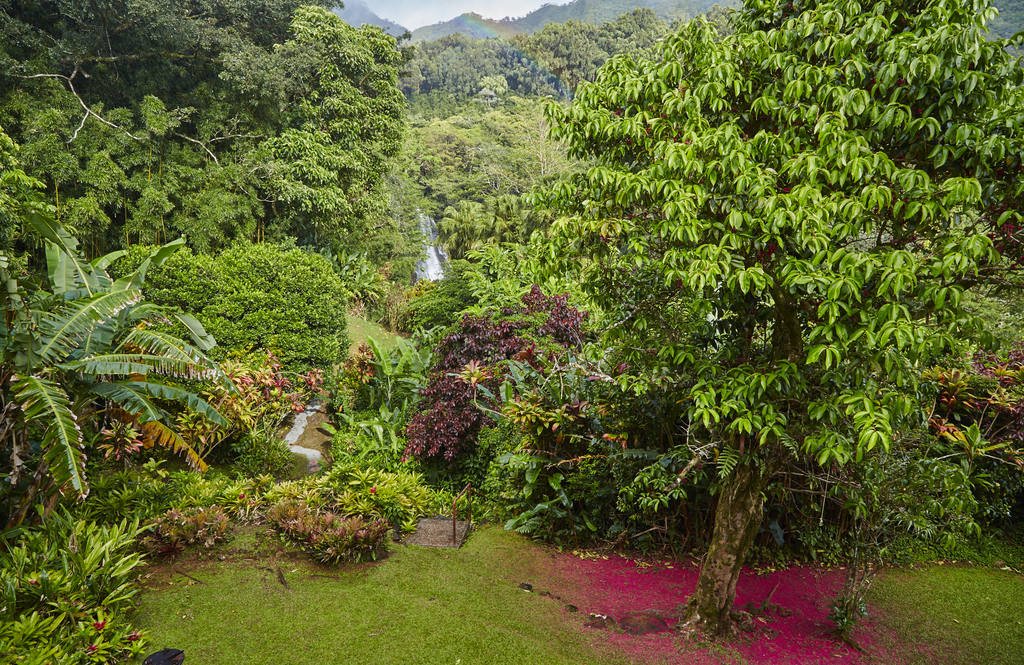 4155 Nuuanu Pali Drive House for Sale in Honolulu 201822221 Erik