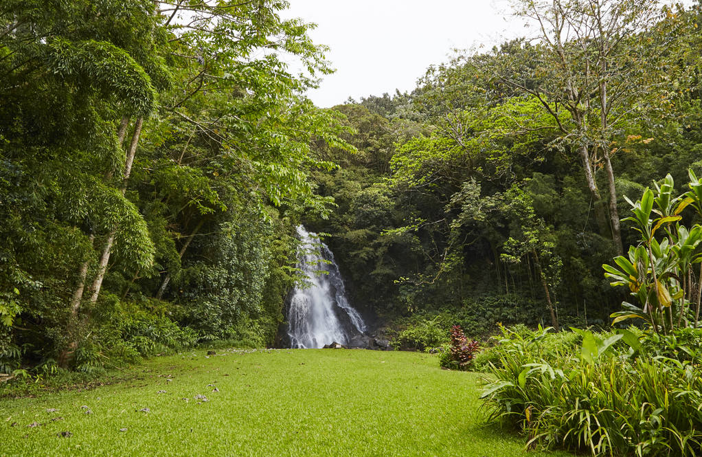 4155 Nuuanu Pali Drive House for Sale in Honolulu 201822221 Erik
