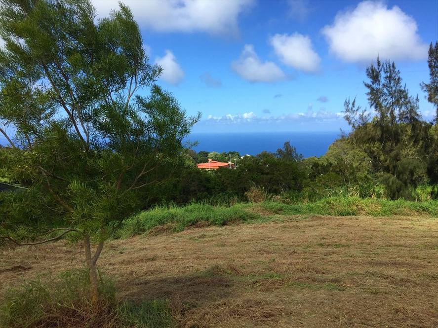 LEHUA ST Land for Sale in HONOKAA 621300 Max B. Aiona Hawaii Life