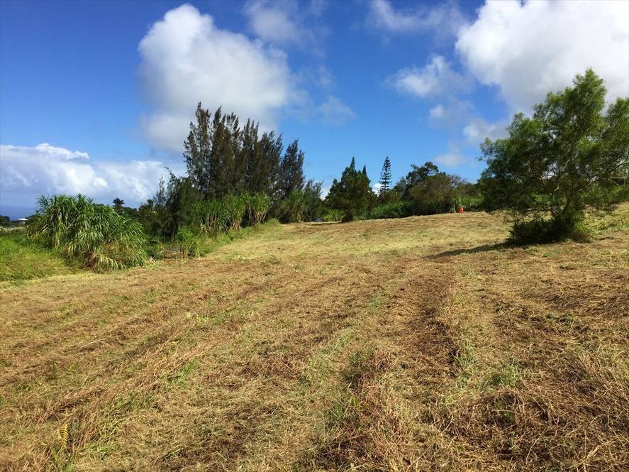 LEHUA ST Land for Sale in HONOKAA 621300 Max B. Aiona Hawaii Life