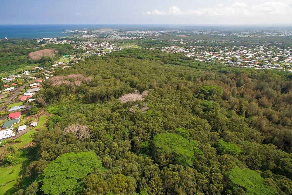 AKOLEA RD Land for Sale in HILO 618174 Denise Nakanishi Hawaii Life