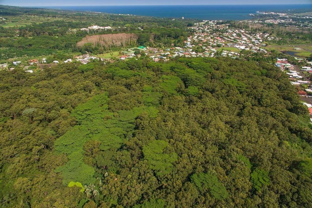 AKOLEA RD Land for Sale in HILO 618174 Denise Nakanishi Hawaii Life