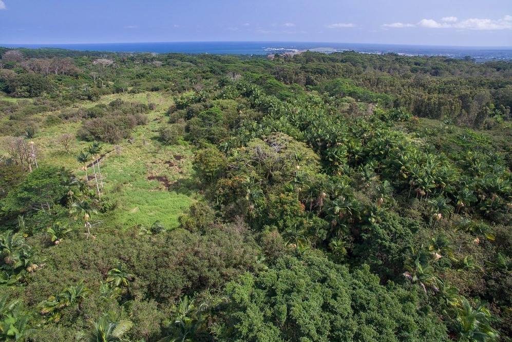 AKOLEA RD Land for Sale in HILO 618174 Denise Nakanishi Hawaii Life
