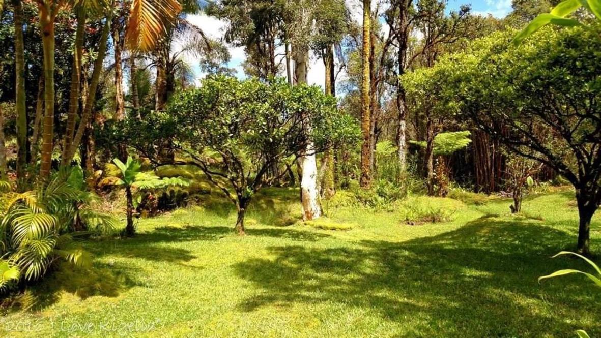 113310 PIKAKE ST House for Sale in MOUNTAIN VIEW 624590 Ron