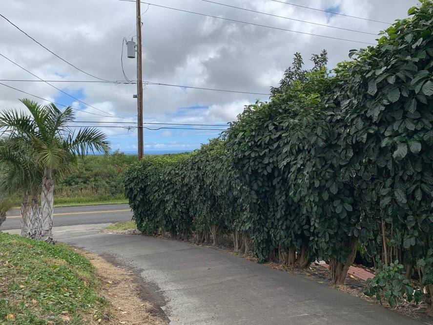 941735 WAKEA AVE House for Sale in NAALEHU 624861 Tanya Sunshine