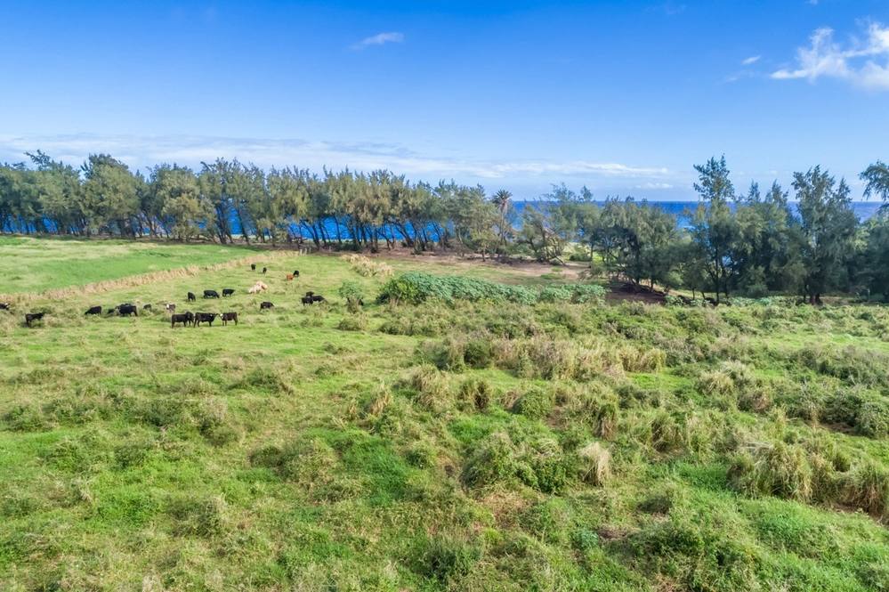 hapu drive maui hapu drive maui