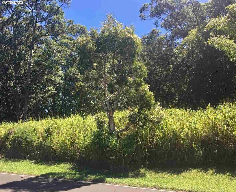 1233 Kauhikoa Rd Land for Sale in Haiku 375251 Caleb A. Palmer
