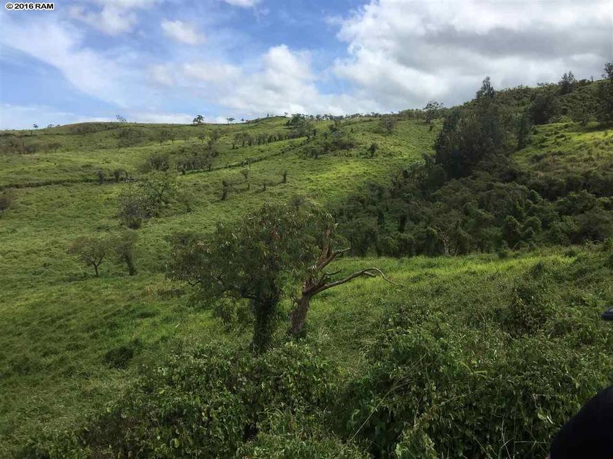 Off KanaioKalama Park Land for Sale in Kula 365089 Liam Ball