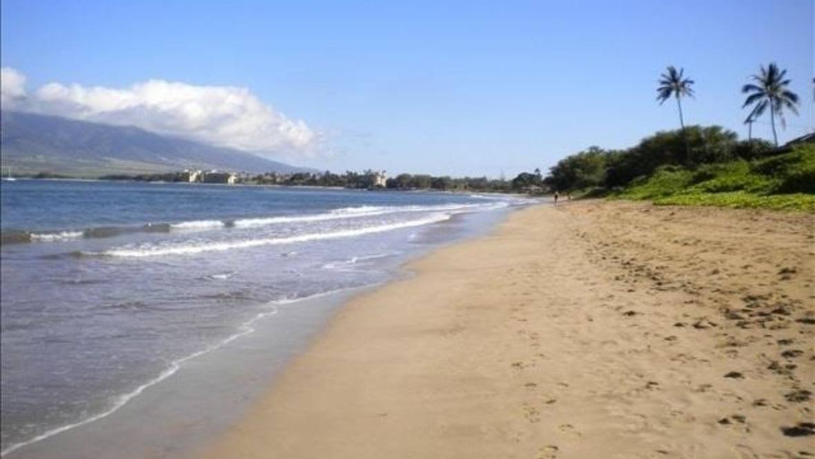 483 S Kihei Rd 109 Condo for Sale in Kihei 372034 Alex Abreu