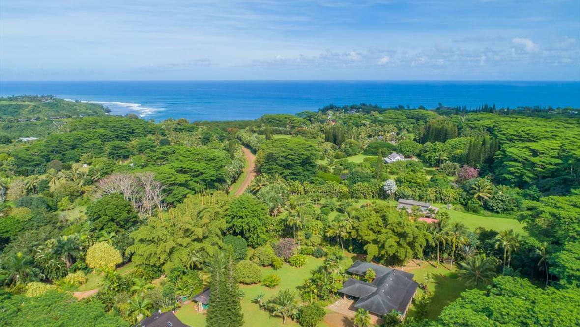 4631 KAHILIHOLO RD 3 House for Sale in KILAUEA 626996 JJ