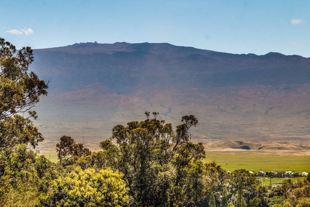 651162 HOKUULA ROAD Land for Sale in KAMUELA 627201 Erika Stuart