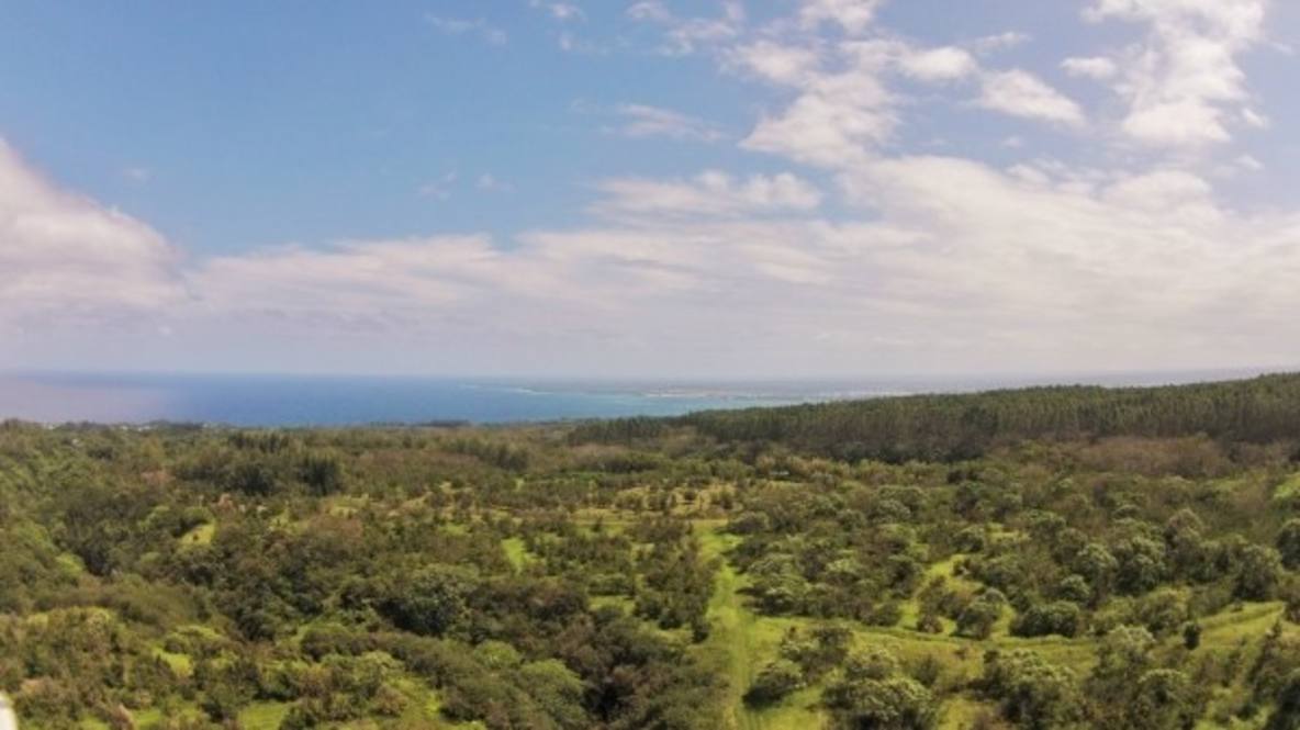 Papaikou Road (approx) Land for Sale in PAPAIKOU 282391 Hawaii Life