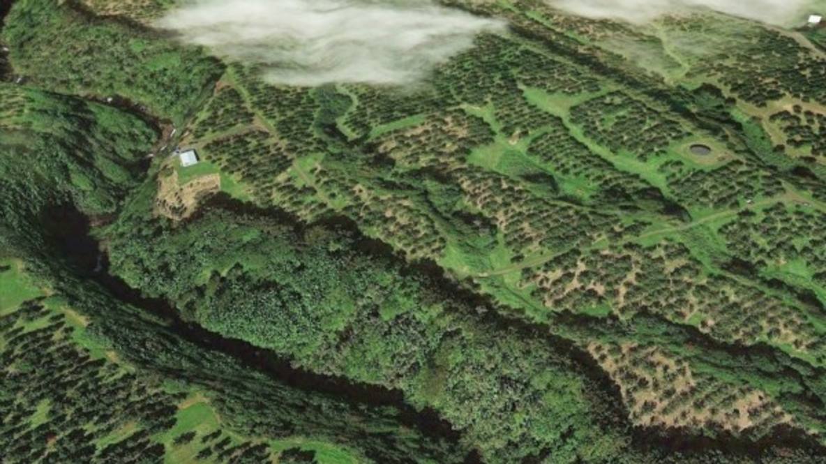 Papaikou Road (approx) Land for Sale in PAPAIKOU 282390 Hawaii Life