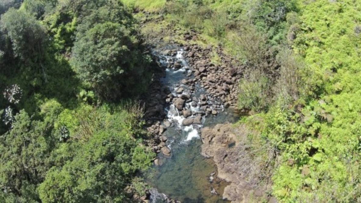 Kaapoko Homestead Road (approx) Land for Sale in PAPAIKOU 282389