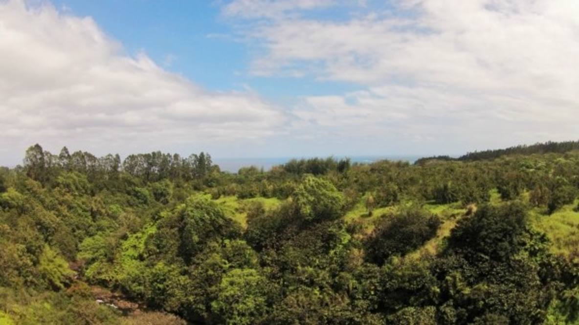 Kaapoko Homestead Road (approx) Land for Sale in PAPAIKOU 282389