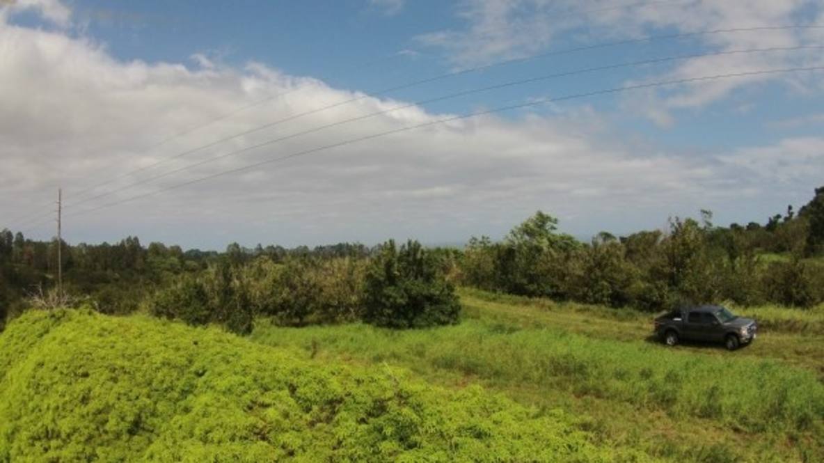 Kaapoko Homestead Road (approx) Land for Sale in PAPAIKOU 282389