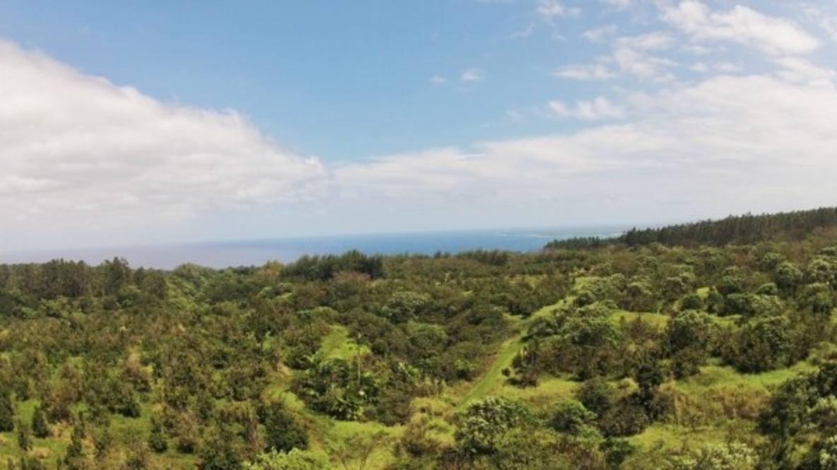 La Road (approx) Land for Sale in PAPAIKOU 282374 Hawaii Life
