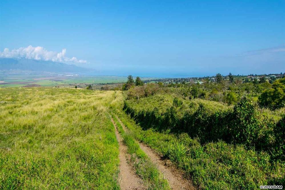 0 Kula Hwy Land for Sale in Kula 382660 Lydia Pedro Hawaii Life