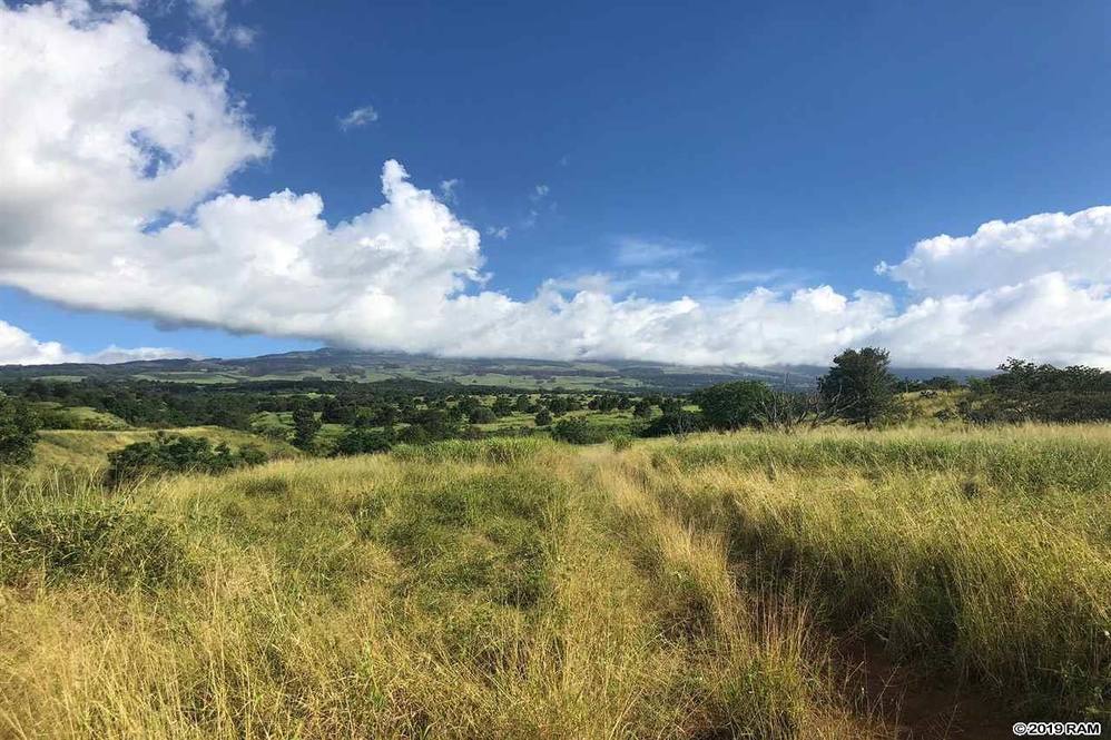 0 Kula Hwy Land for Sale in Kula 382660 Lydia Pedro Hawaii Life