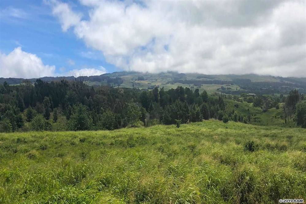 0 Kula Hwy Land for Sale in Kula 382660 Lydia Pedro Hawaii Life