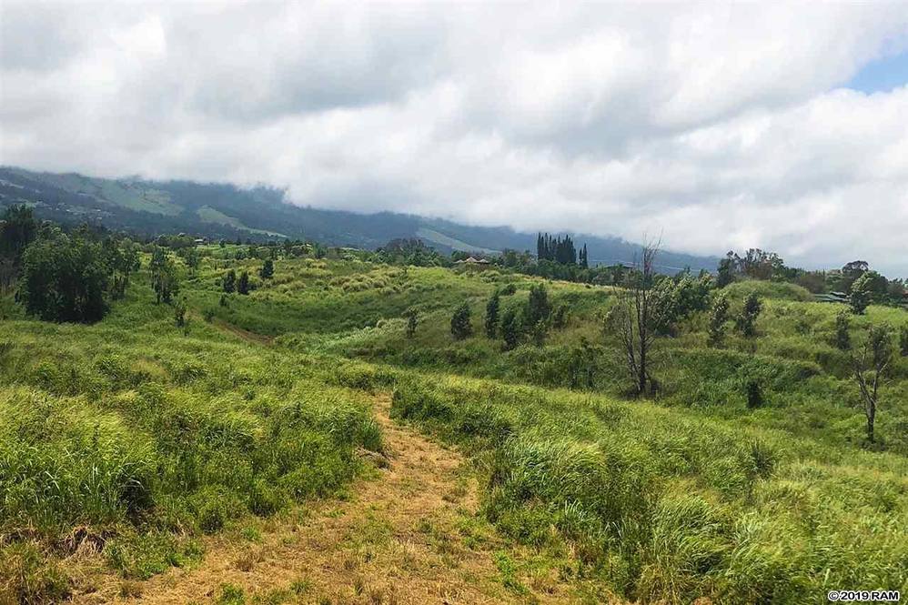 0 Kula Hwy Land for Sale in Kula 382660 Lydia Pedro Hawaii Life