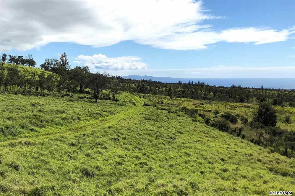0 Kula Hwy Land for Sale in Kula 382660 Lydia Pedro Hawaii Life