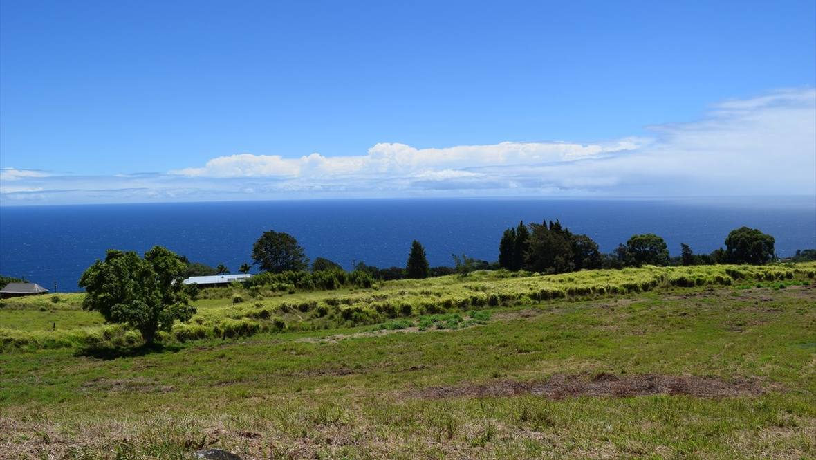 SPENCER RD Land for Sale in LAUPAHOEHOE 629089 Denise Nakanishi