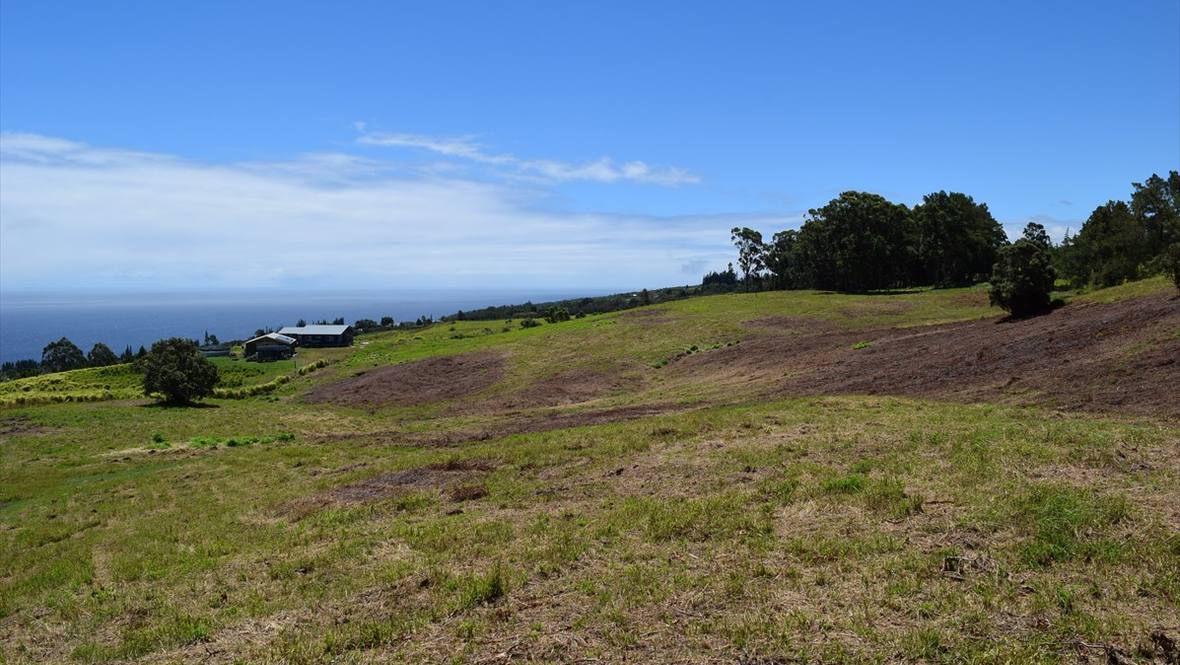 SPENCER RD Land for Sale in LAUPAHOEHOE 629067 Jeanna Rimmer