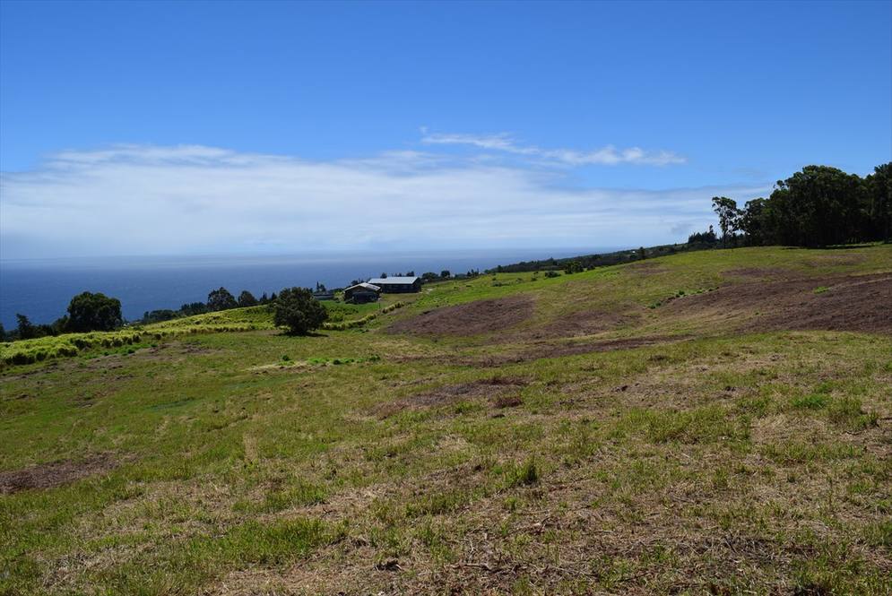 SPENCER RD Land for Sale in LAUPAHOEHOE 629067 Jeanna Rimmer