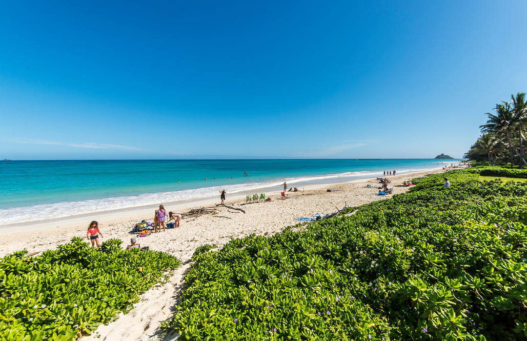 86 S Kalaheo Avenue House for Sale in Kailua 201921641 Cynthia Nash Hawaii Life