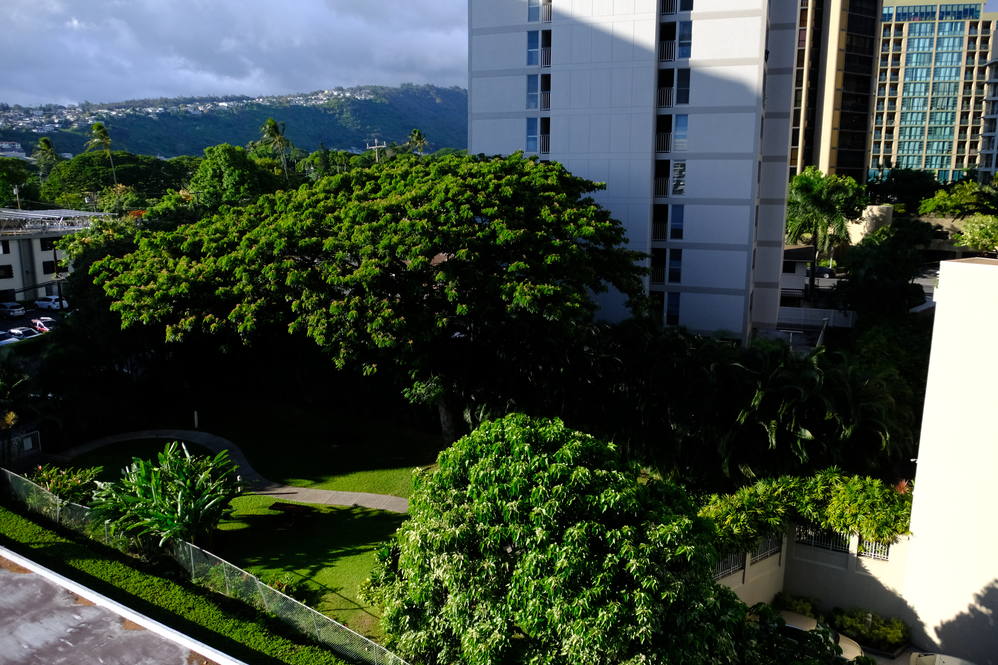 2033 Nuuanu Avenue 8B Condo for Sale in Honolulu 201921834 Pete Arnold Hawaii Life