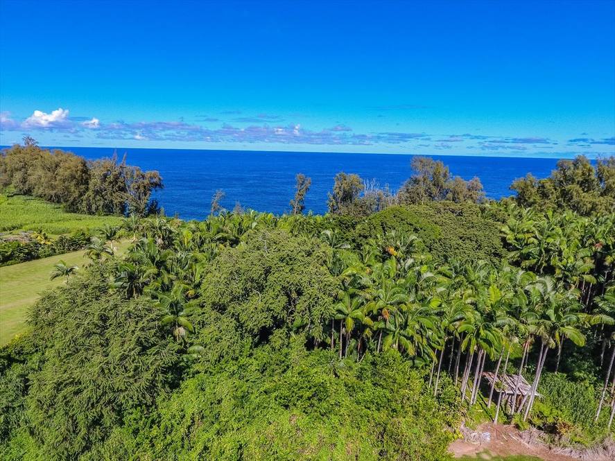 283188 BEACH RD Land for Sale in PEPEEKEO 632837 Denise