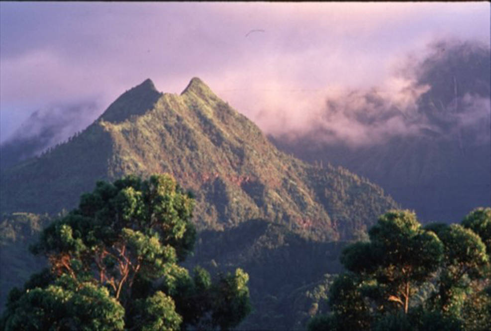 Kapaka Road C Land for Sale in PRINCEVILLE 632276 Ben Welborn