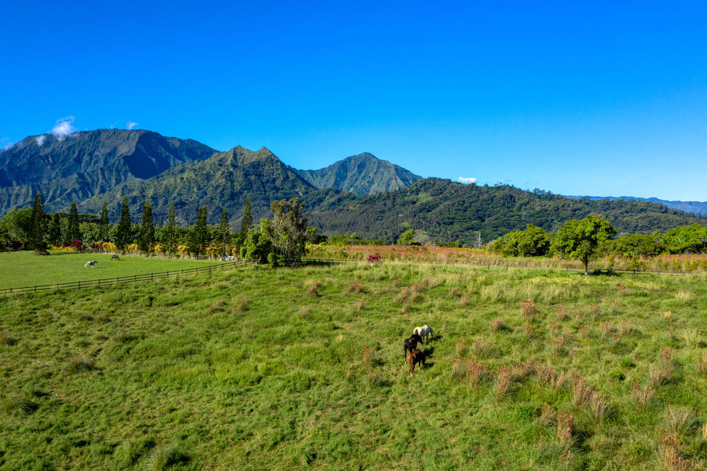 Kapaka Road C Land for Sale in PRINCEVILLE 632276 Ben Welborn