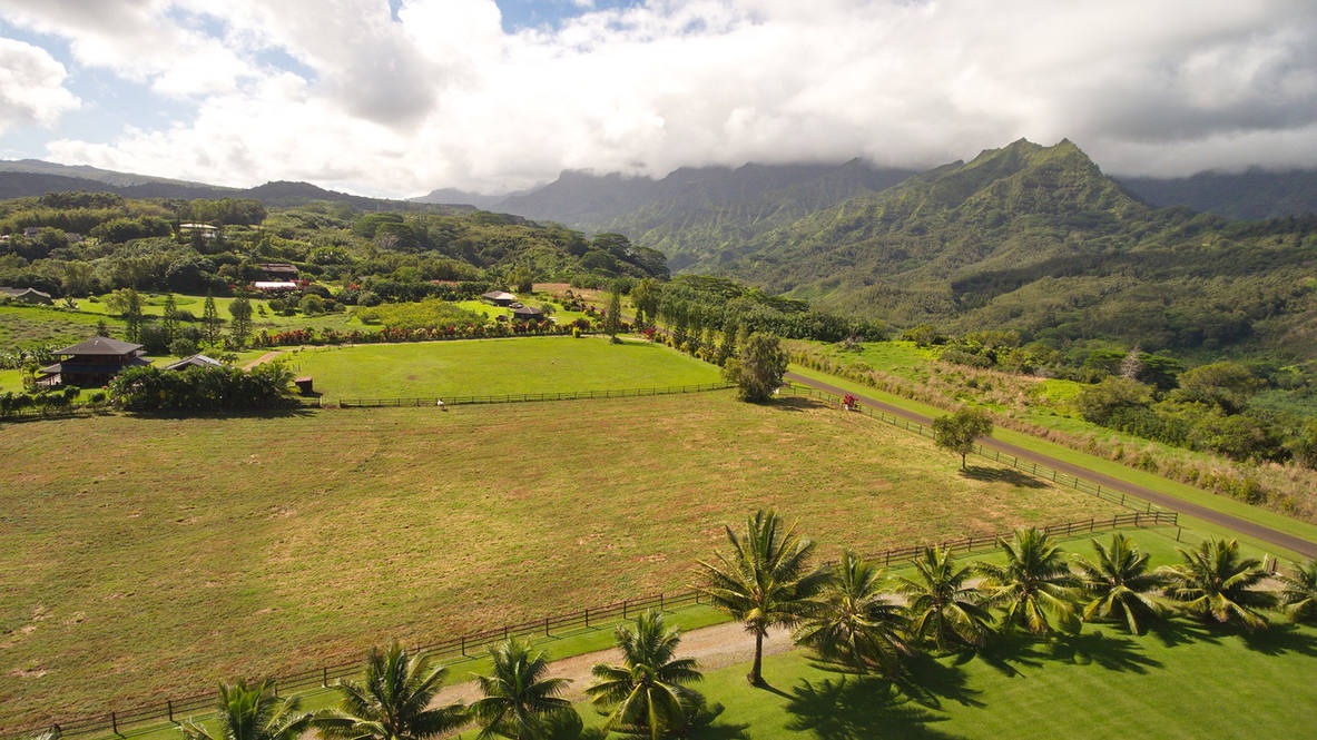 Kapaka Road C Land for Sale in PRINCEVILLE 632276 Ben Welborn