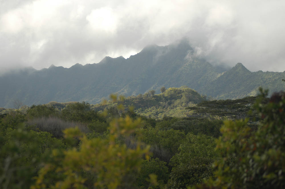 Kapaka Road C Land for Sale in PRINCEVILLE 632276 Ben Welborn