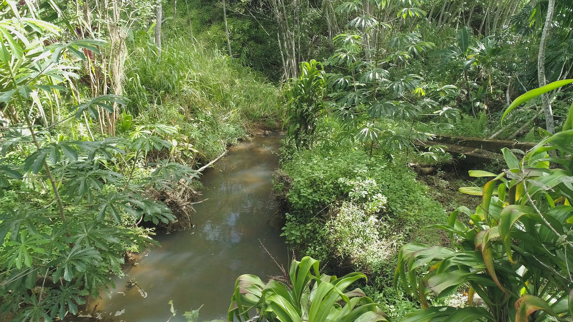 Kapaka Road C Land for Sale in PRINCEVILLE 632276 Ben Welborn