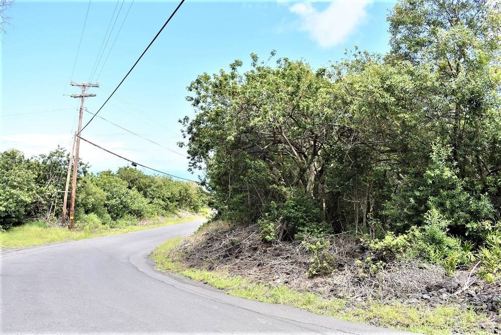 Land for Sale in CAPTAIN COOK 633071 Jene Green Hawaii Life