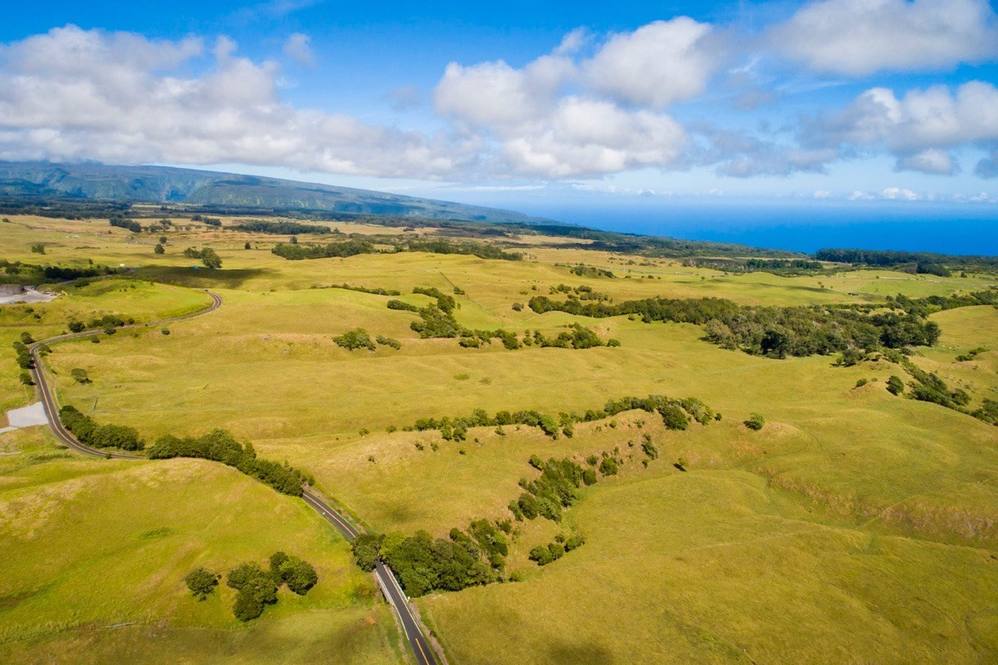 474526 OLD MAMALAHOA HIGHWAY Land for Sale in Honokaa 631916