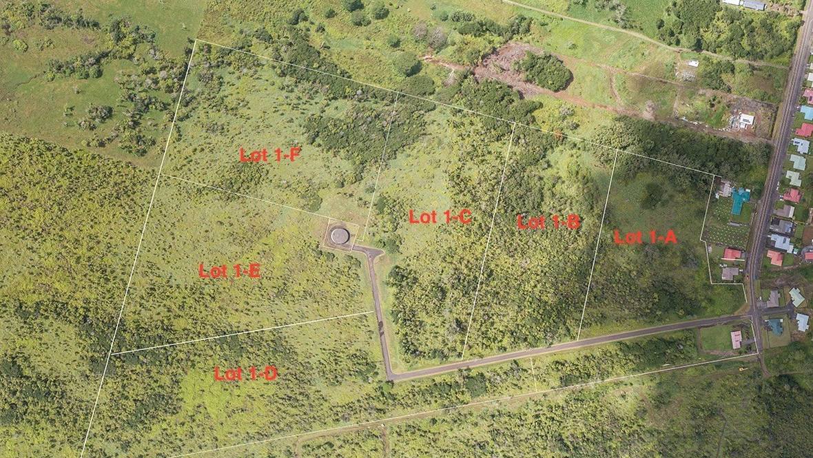 Land for Sale in HILO 634393 Renee Hill Hawaii Life