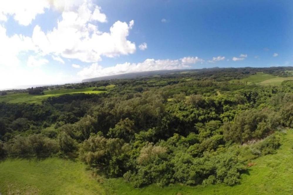 Akoni Pule Highway Land for Sale in KAPAAU 272634 Beth Thoma Robinson Hawaii Life