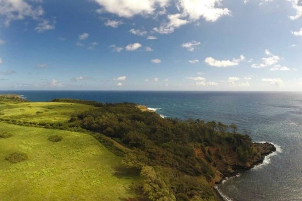 Akoni Pule Highway Land for Sale in KAPAAU 272634 Beth Thoma Robinson Hawaii Life