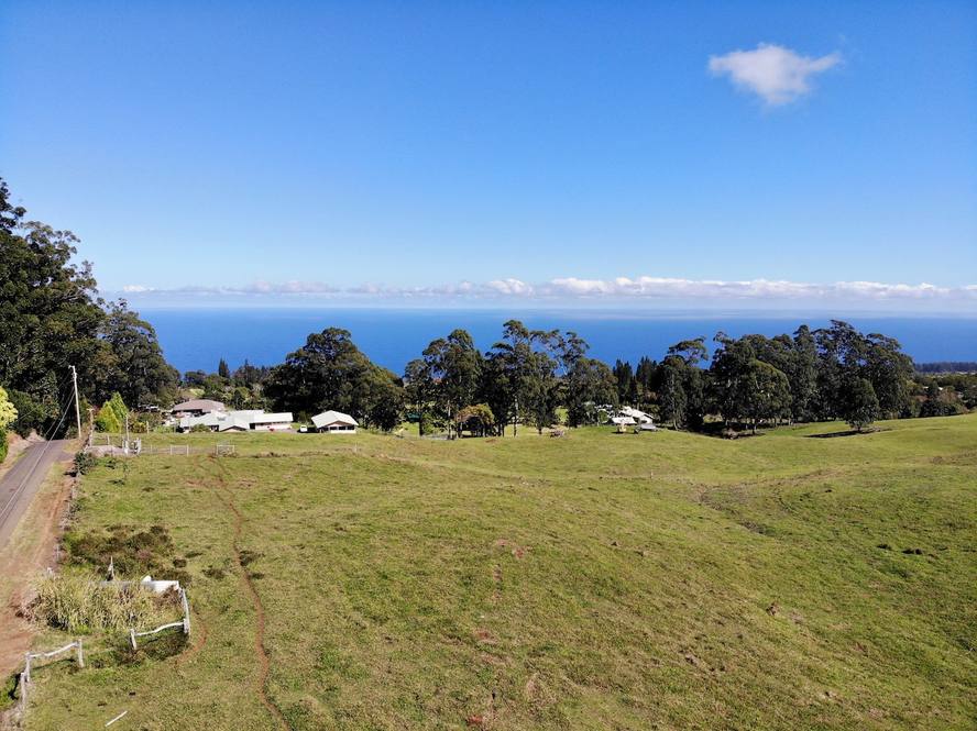 Land for Sale in Paauilo Exclusive Dan Ishikawa Hawaii Life